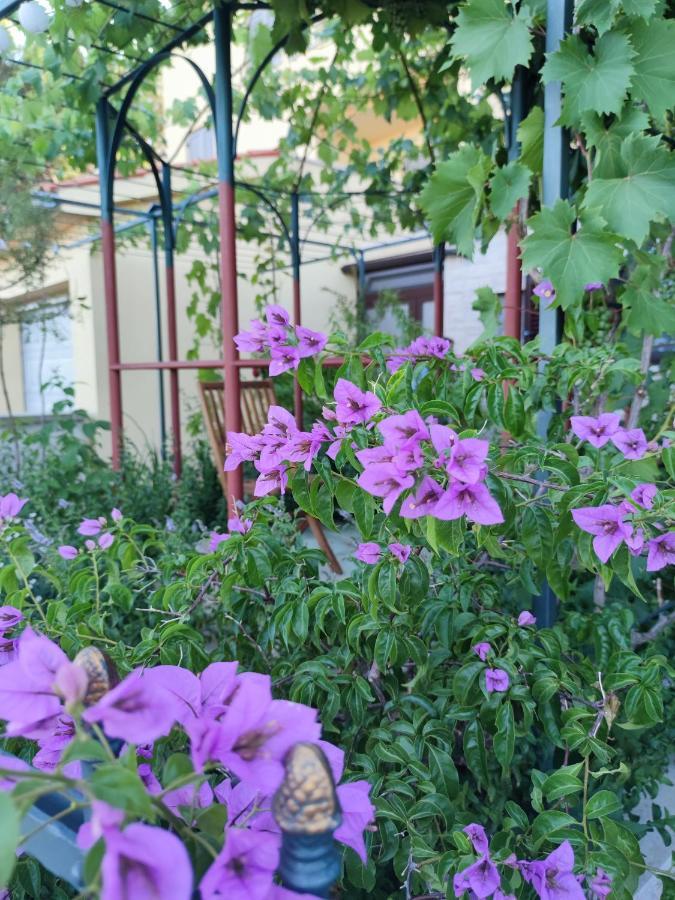 Summer Time 프레멘투라 외부 사진