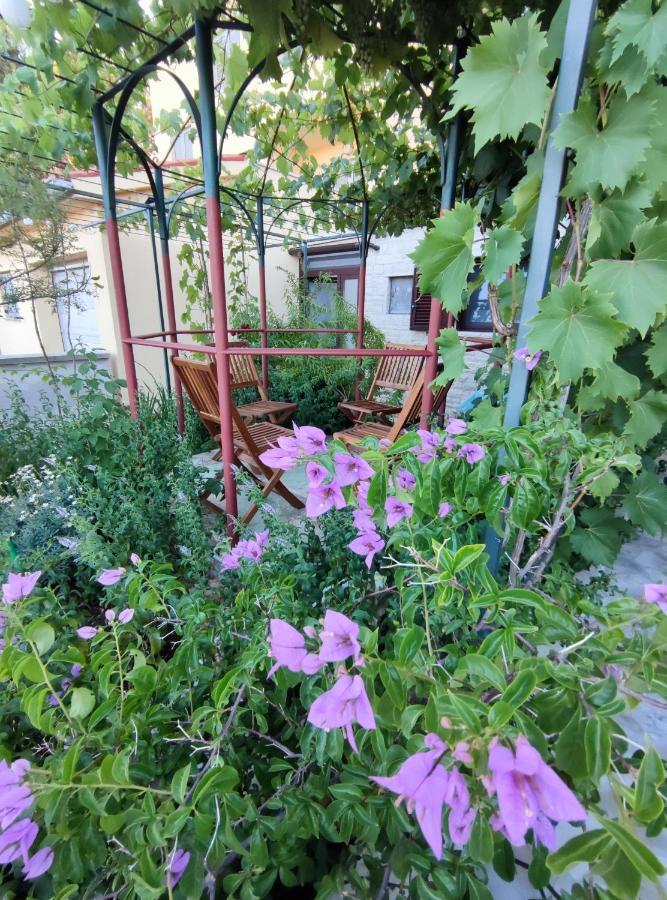 Summer Time 프레멘투라 외부 사진