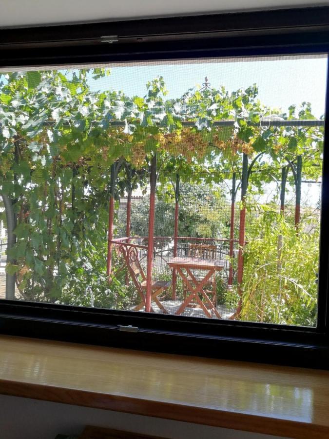 Summer Time 프레멘투라 외부 사진